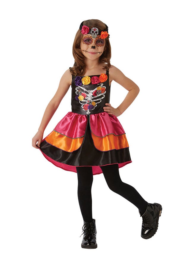 Sugar Skull Mediumcm