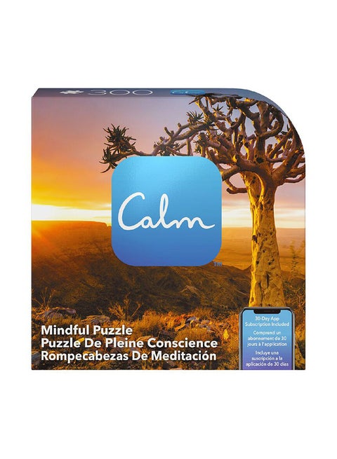 Calm Mindful Timed Meditation 300-Piece, Asst