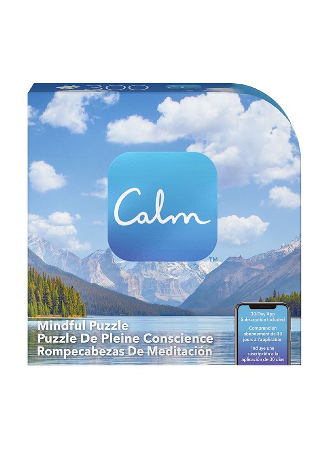 Calm Mindful Timed Meditation 300-Piece, Asst