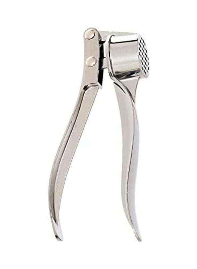 Stainless Steel Garlic Presser With Handle Silver