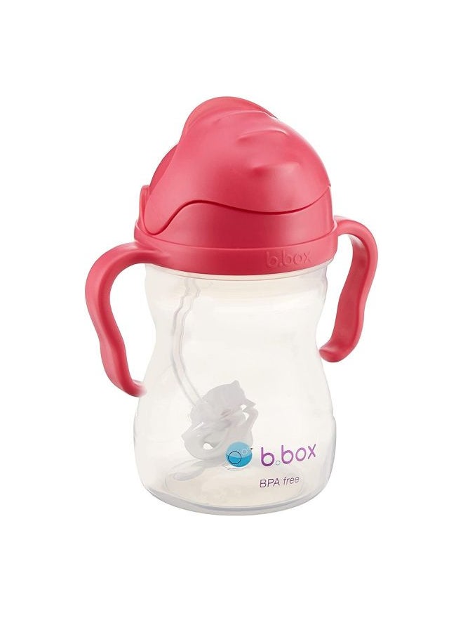 b.box Sippy Cup -Raseberry