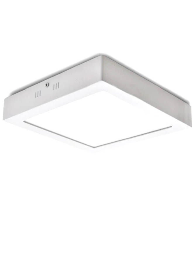 Ceiling Light White 