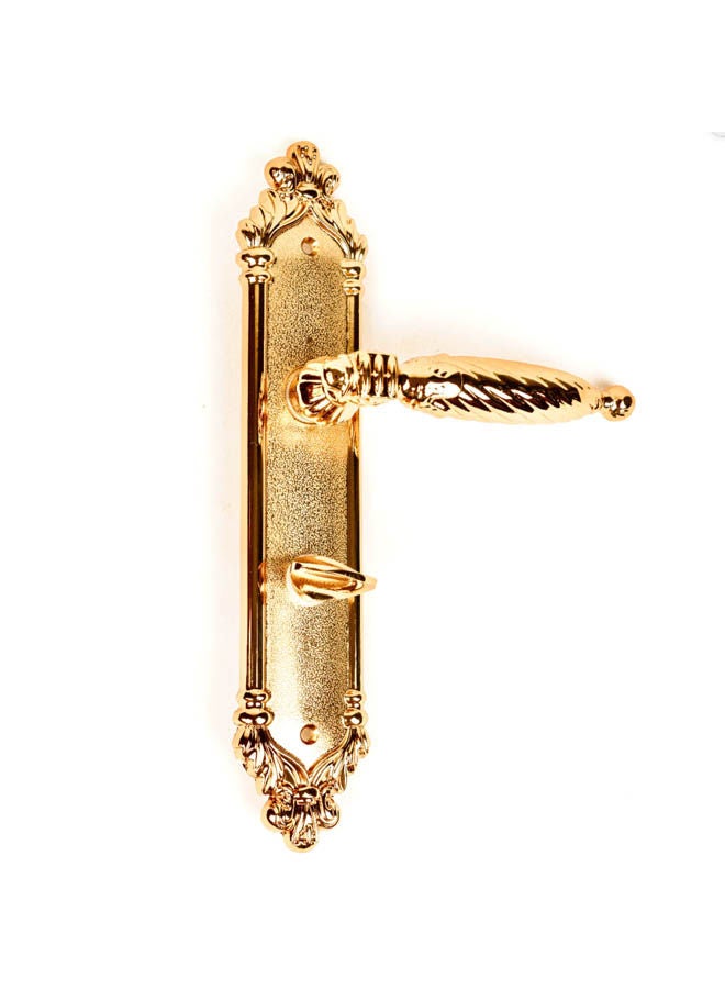 Akad Bathroom Door Handle Gold  - Image 1