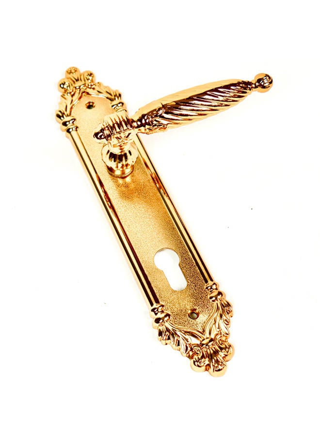 Akad Bathroom Door Handle Gold  - Image 2