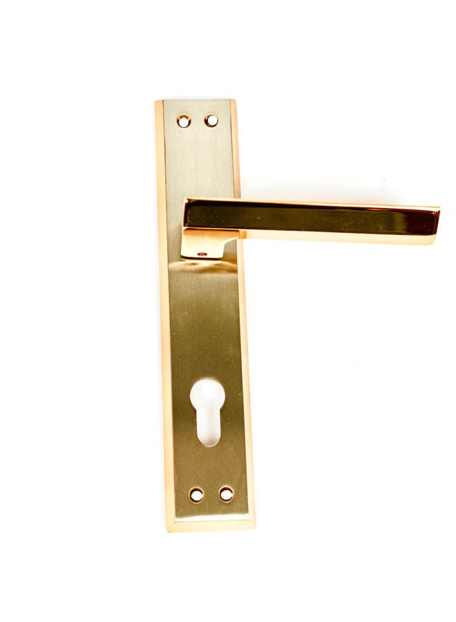 Siag Atlas Cylinder Door Handle Gold - Image 1