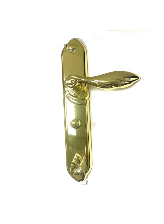 Siag cylinder Door Handle E177 761 Gold - Image 2