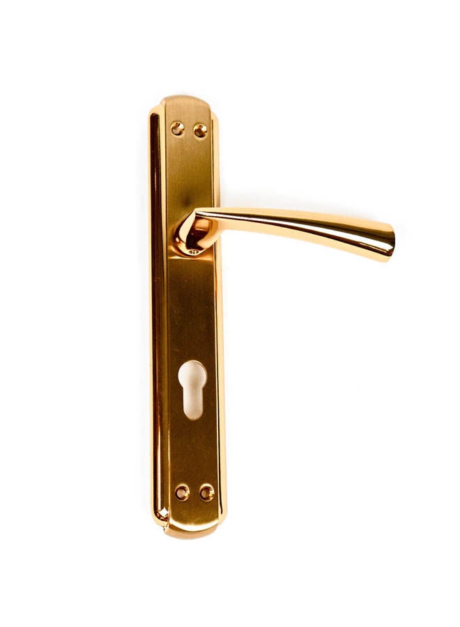 Siag Hazal Cylinder Door Handle Gold - Image 1