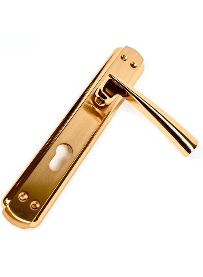 Siag Hazal Cylinder Door Handle Gold - Image 2