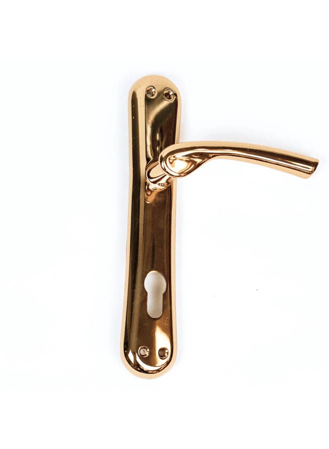 Siag Pola Cylinder Door Handle Gold  - Image 1