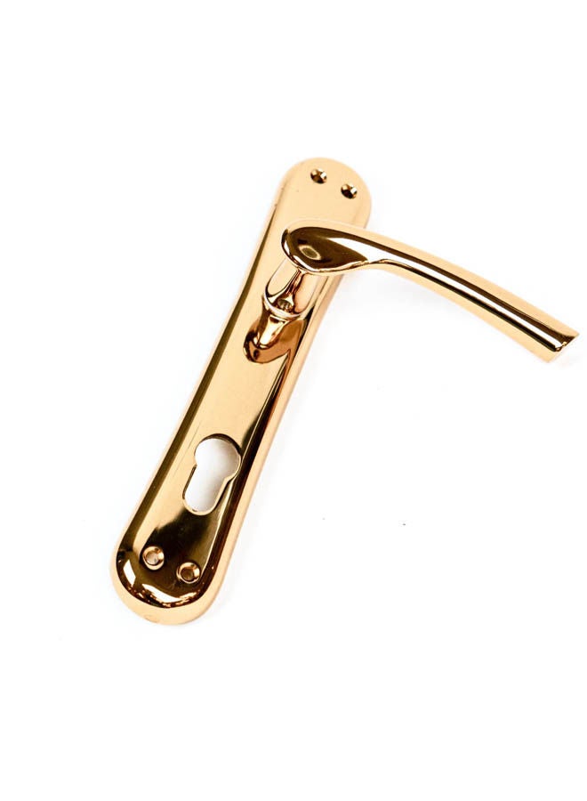 Siag Pola Cylinder Door Handle Gold  - Image 2