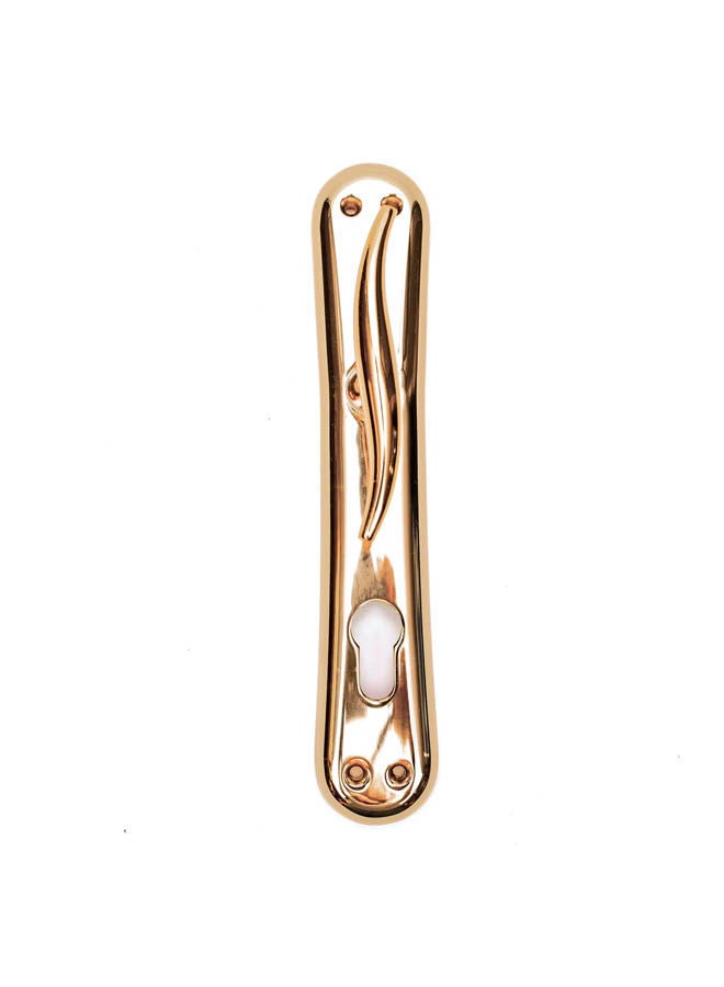 Siag Pola 1 2 Cylinder Door Handle 1 Gold - Image 1