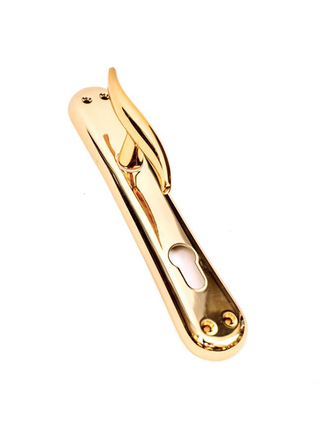 Siag Pola 1 2 Cylinder Door Handle 1 Gold - Image 2