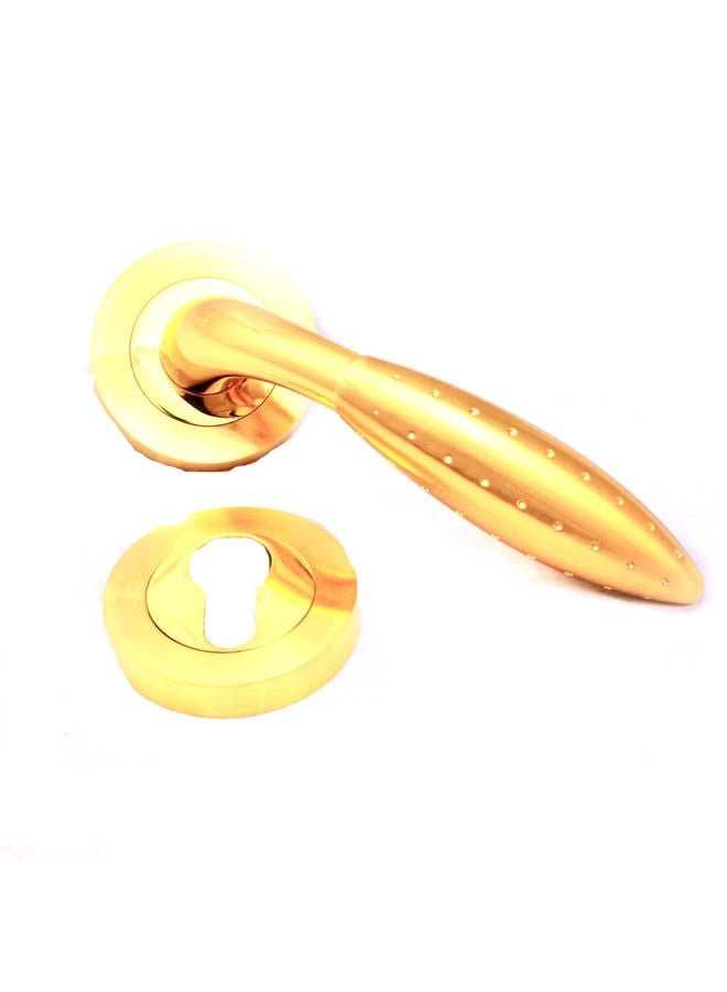 Siag Rosetta Cylinder Door Handle Q04-65 Gold - Image 2