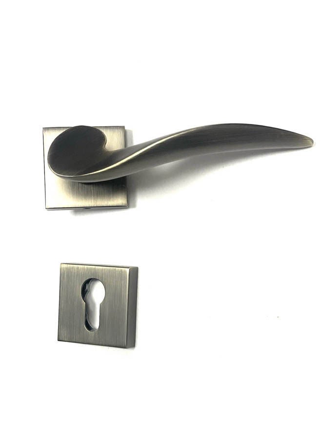 Rosetta Door Handle 9001 Silver 