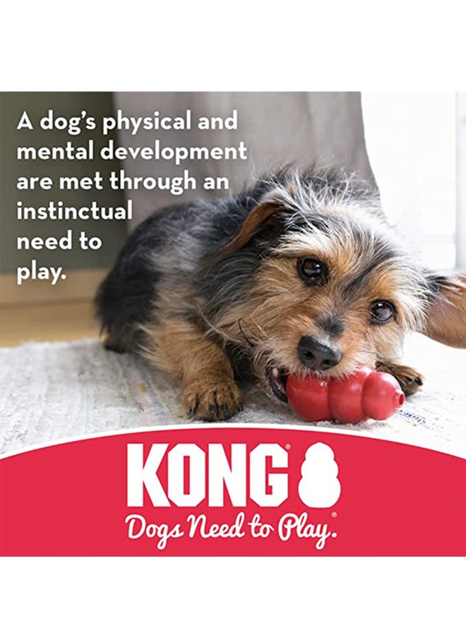 Kong - Internal Knotted Ropes And Minimal Stuffing Assorted Colours Multicolour 10x4x8inch - Image 1