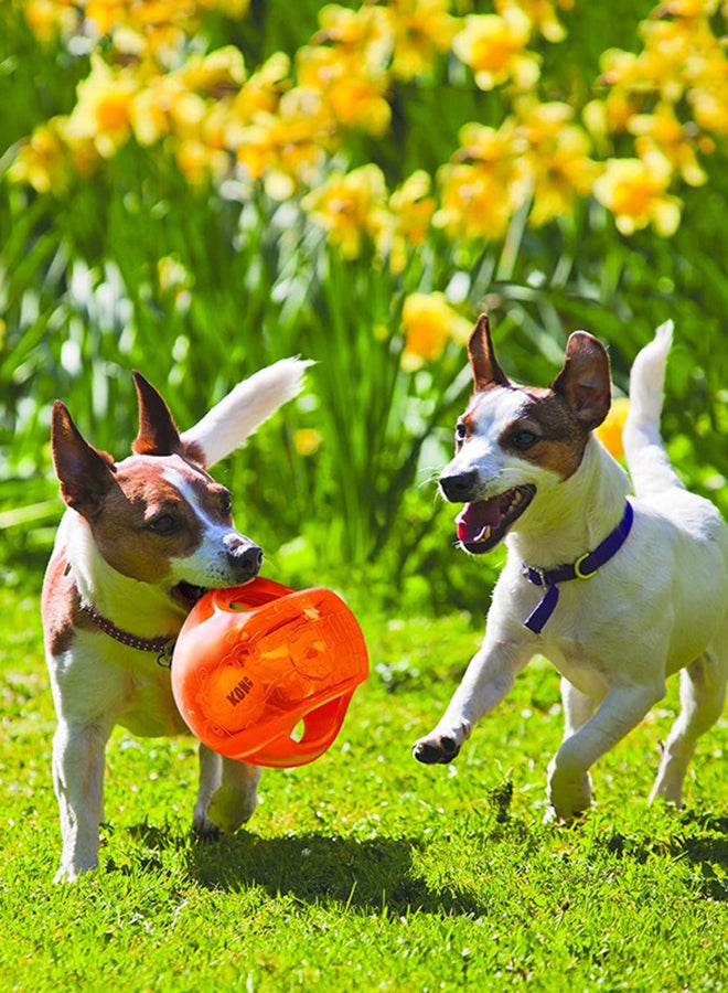 Interactive Fetch Dog Toy With Tennis Ball Assorted Colours Multicolour One Size