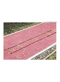 Generic Ladder For Football Soccer Training Speed Agility  - Image 2