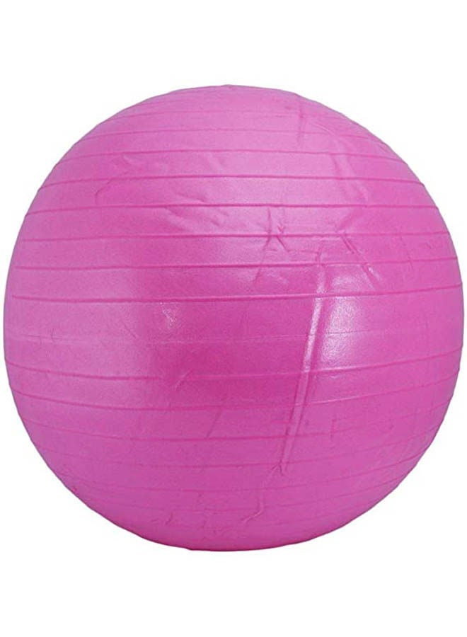 Anti-Resistant Gym Ball 65cm