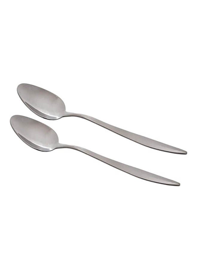 Fashion Table Spoon Set Of 2 Grey