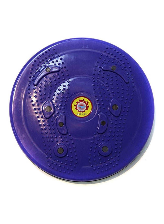 Spinning Disk For Waist Exercises