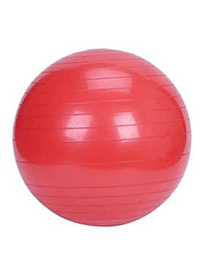 Resist Gym Ball 55cm