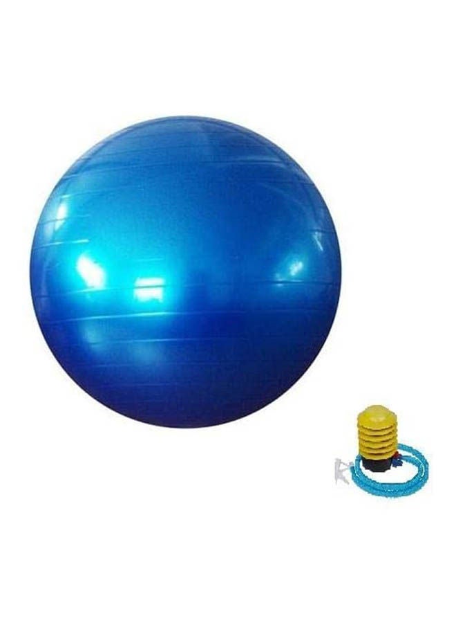 Anti Burst Gym Exercise Ball Swiss Yoga Fitness Core Pregnancy Birthing Ball 65cm