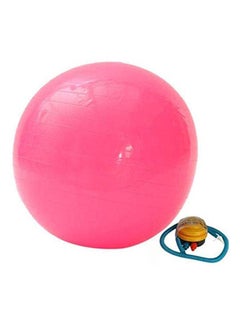 Kanteen Store Anti Burst Gym Exercise Ball Swiss Yoga Fitness Core Pregnancy Birthing Ball 65cm 