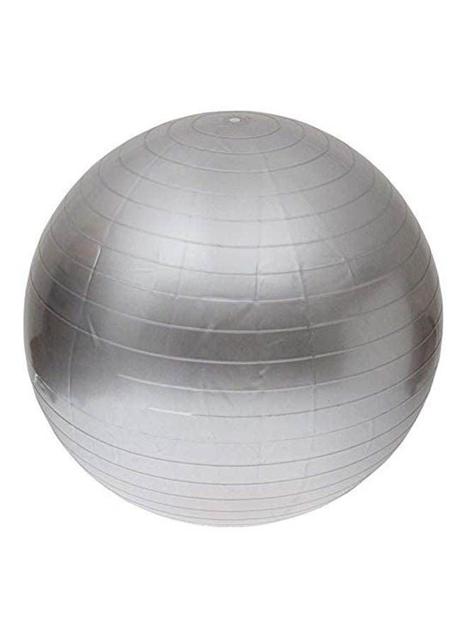 Gym Exercise Anti Burst Swiss Yoga Aerobic Body Fitness Ball Core 65cm