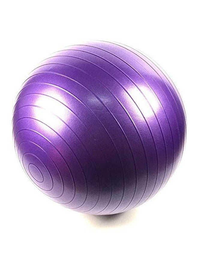 Generic Yoga And Gym Ballhot With Slimming Short 55cm - Image 2