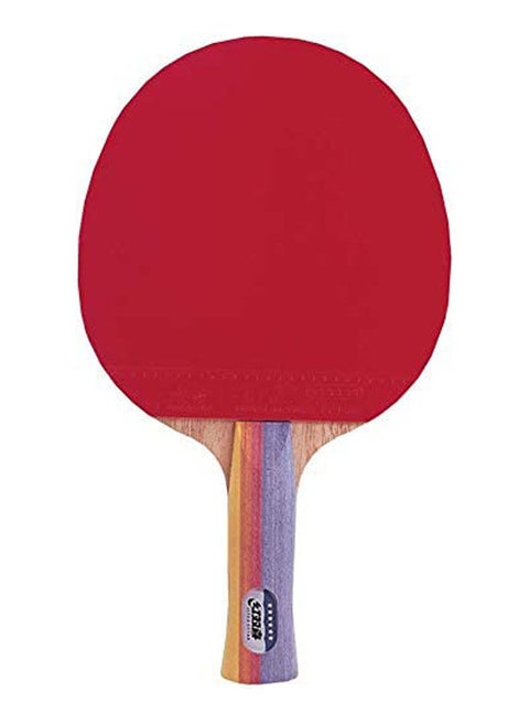 Ping Pong Racket/Paddle