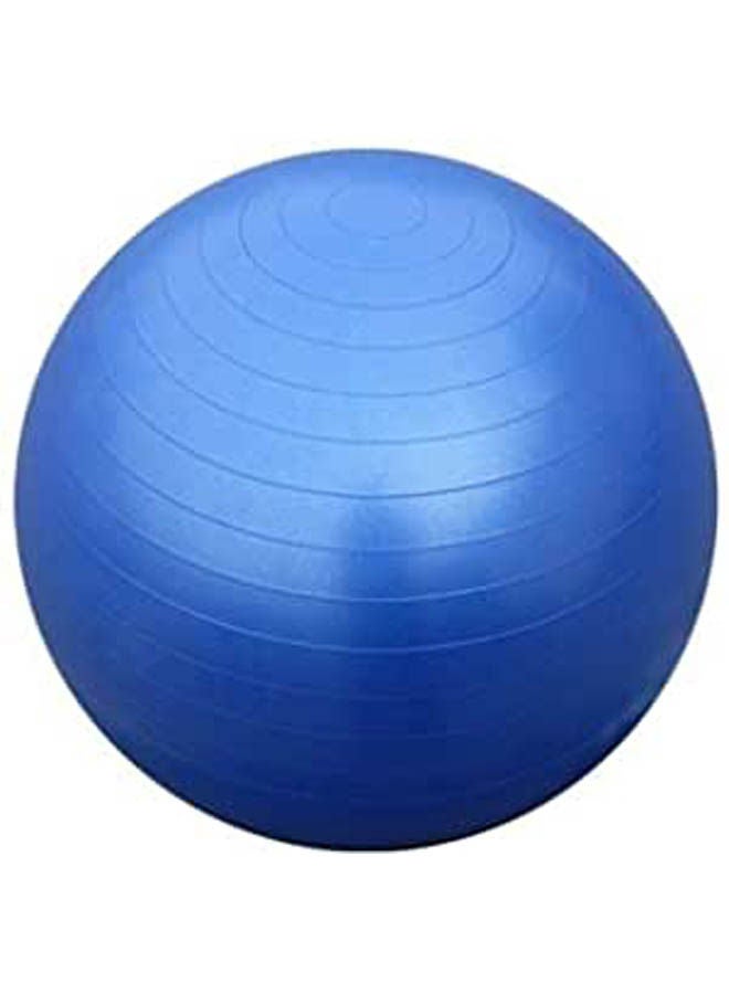 Generic Gym Ball 65cm 