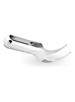 Water Melon Slicer And Server Silver
