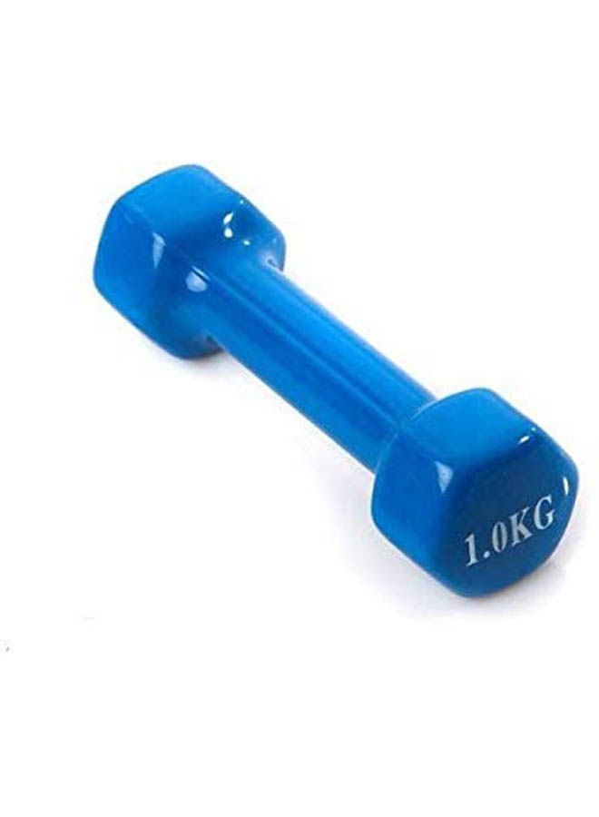 Iron Weights 1kg