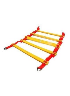 Generic Training Ladder 12 Degrees 6meter 