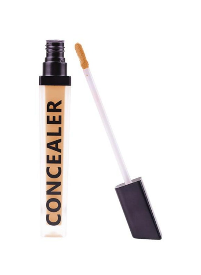 FOREVER52 Coverup Concealer Chestnut 20.5 - Image 1
