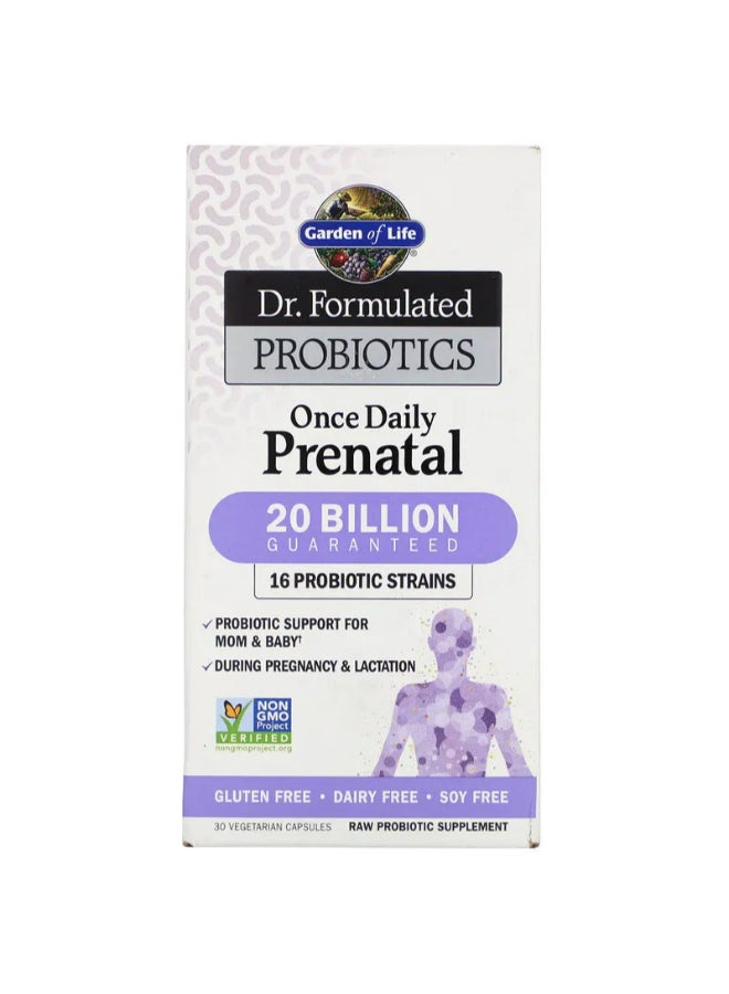 Garden of Life Dr. Formulated Probiotics Once Daily Prenatal Supplement - 30 Capsules - Image 1