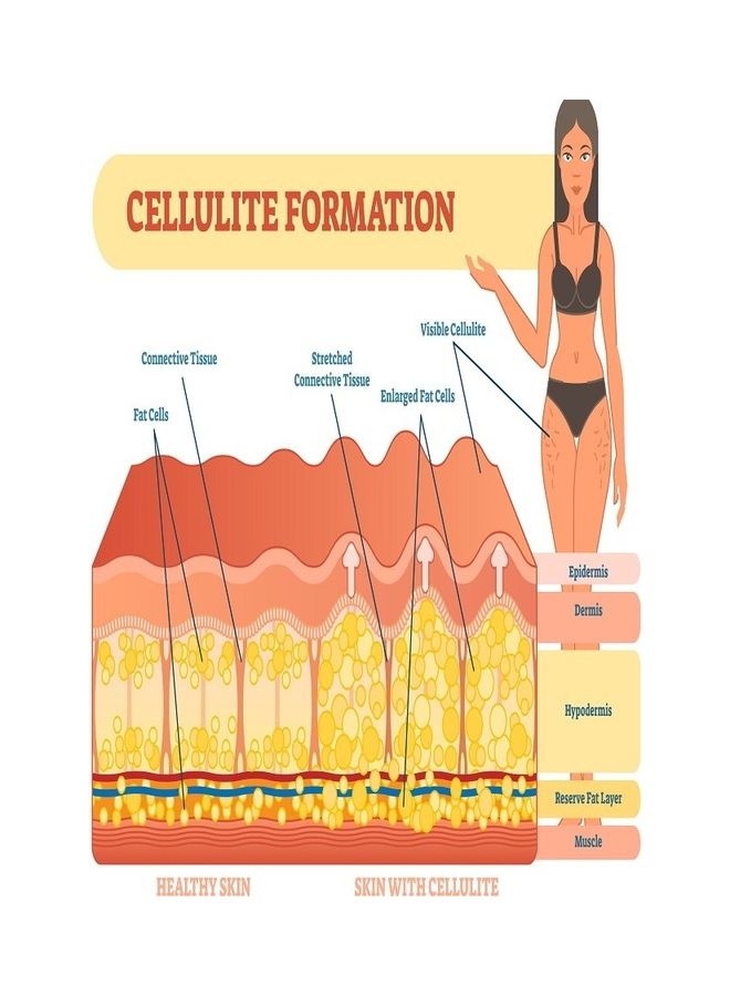 Derma Roller Roller 192 Needles For The Treatment Of Cellulite And The Effects Of Weight Loss, Stretch Mark And Scars Gold 3.00ml - Image 3