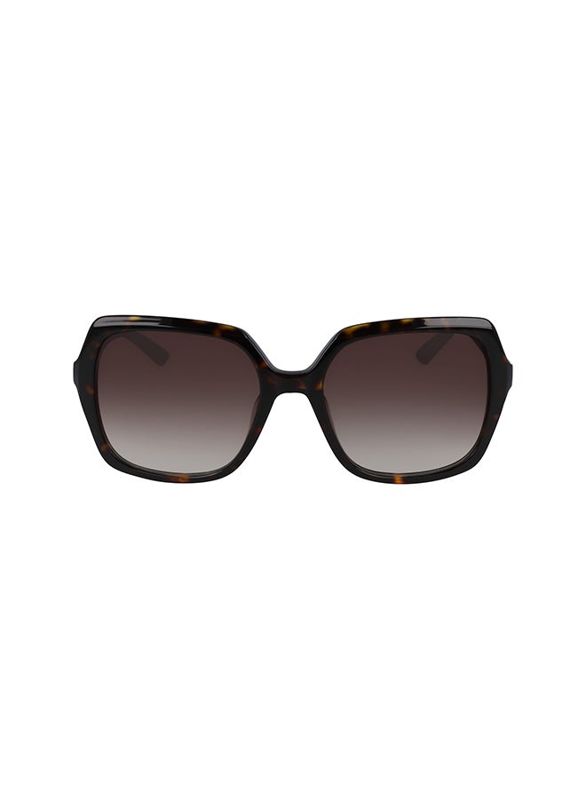 CALVIN KLEIN Women's Full Rimmed Square Frame Sunglasses CK20541S-235  - Image 1