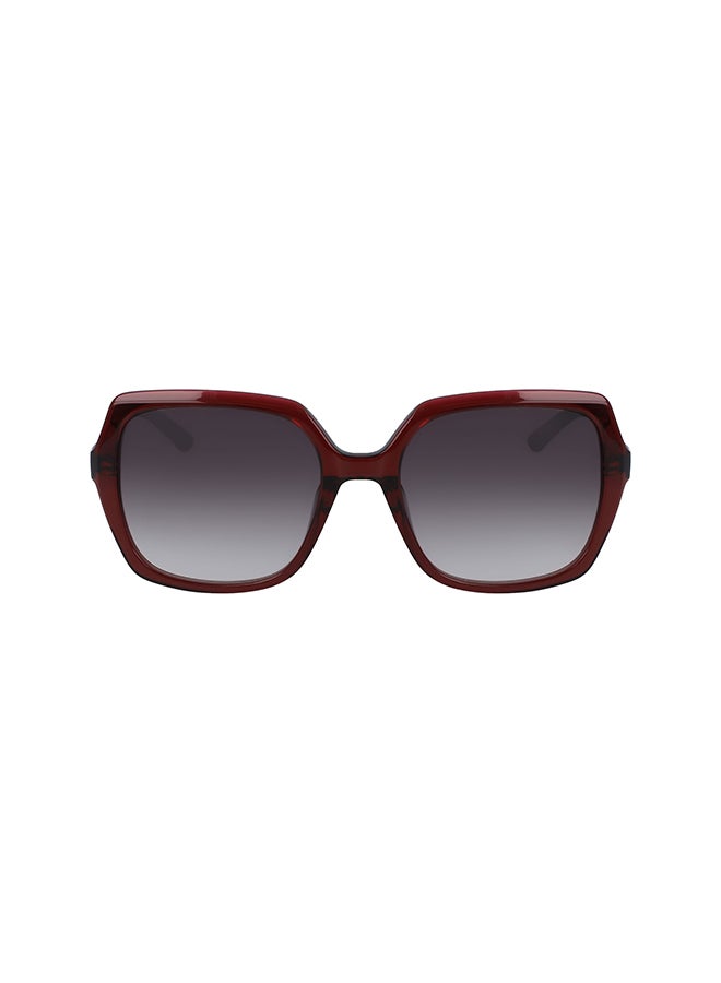 CALVIN KLEIN Women's Full Rimmed Square Frame Sunglasses CK20541S-605  - Image 1