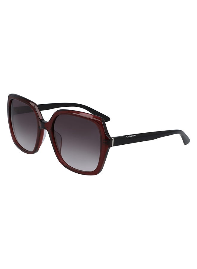 CALVIN KLEIN Women's Full Rimmed Square Frame Sunglasses CK20541S-605  - Image 2