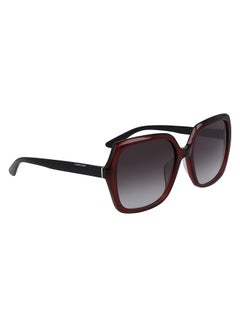CALVIN KLEIN Women's Full Rimmed Square Frame Sunglasses CK20541S-605  - Image 3