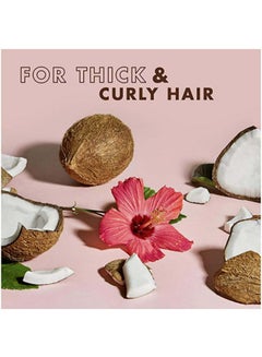SheaMoisture Coconut And Hibiscus Curl And Shine Shampoo  - Image 4