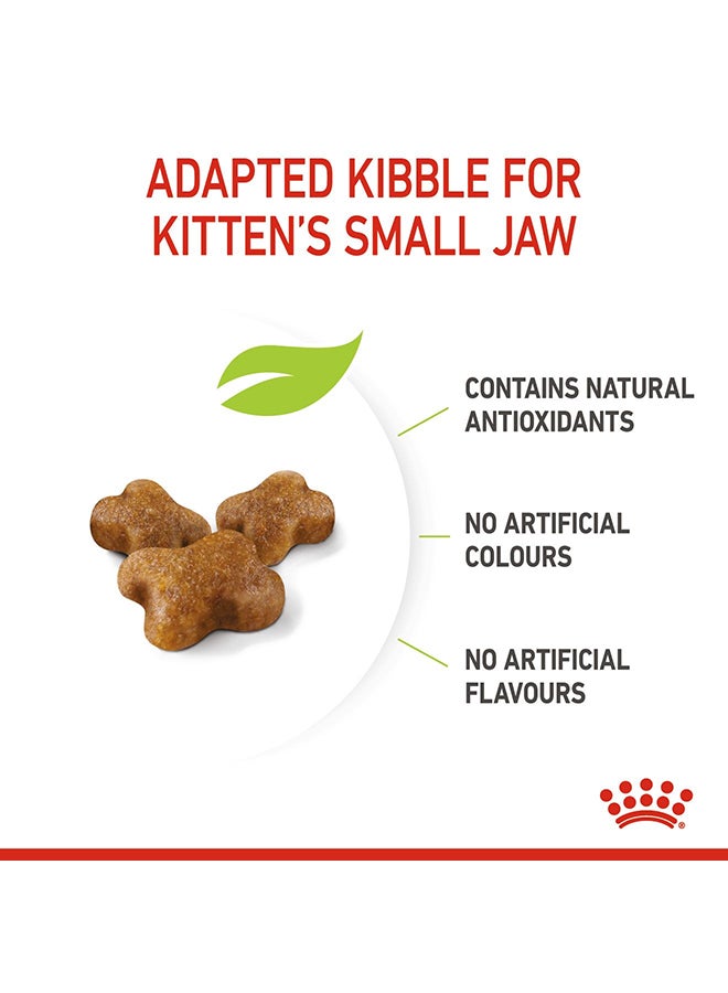 رويال كانين طعام من مجموعة فيلين هيلث نيوترشن للقطط الصغيرة سعة 10 كجم 10كيلوجرام - Image 3