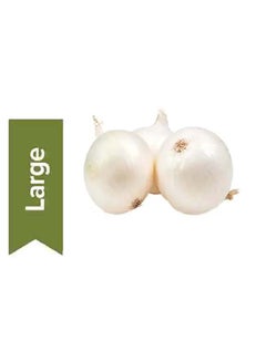 White Onion Spain 0.9-1kg