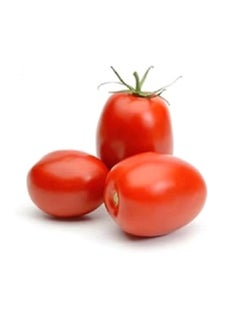 Fresh Tomato India 1kg