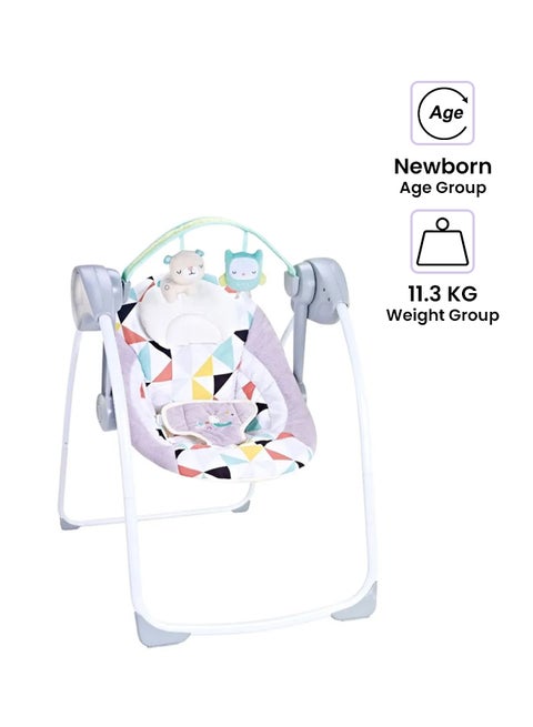 Deluxe Bouncer Portable Swing