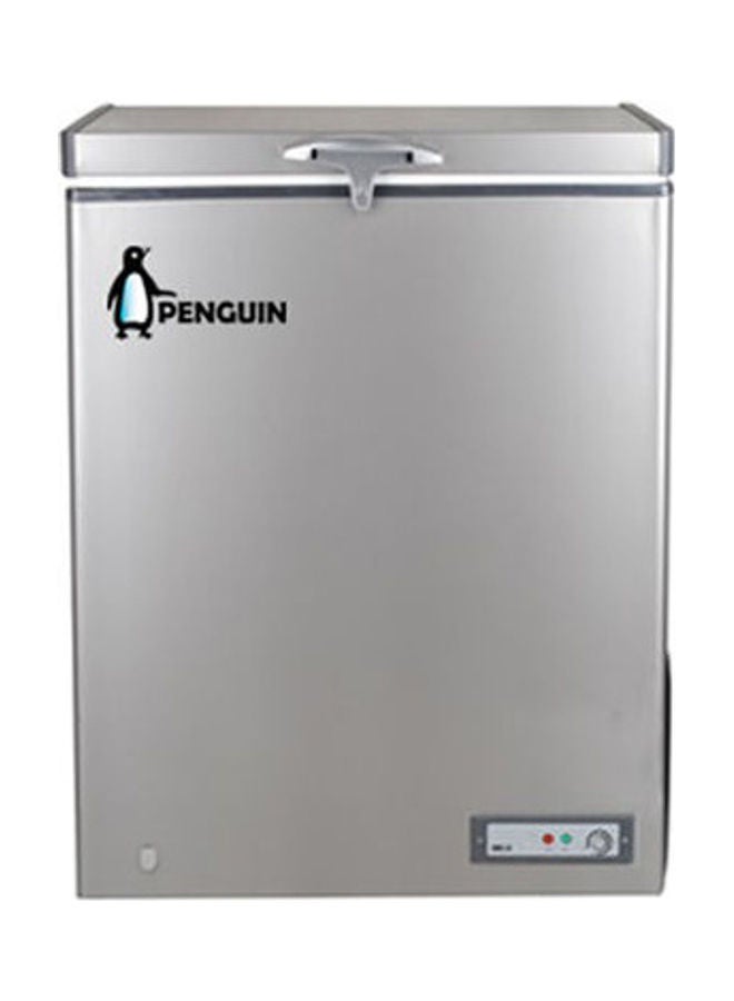 Penguin - Chest Freezer Stainless interior 171 L 81 W ES171L Silver - Image 1