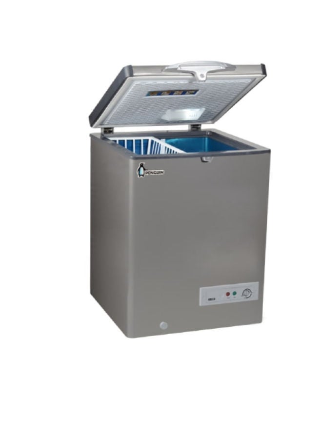 Penguin - Chest Freezer Stainless interior 171 L 81 W ES171L Silver - Image 1