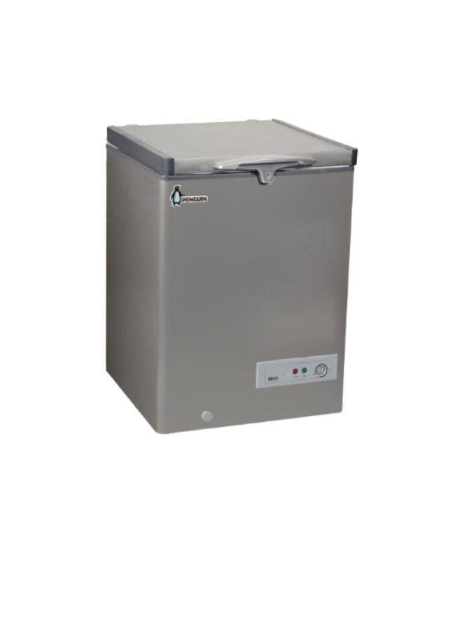 Penguin - Chest Freezer Stainless interior 171 L 81 W ES171L Silver - Image 1