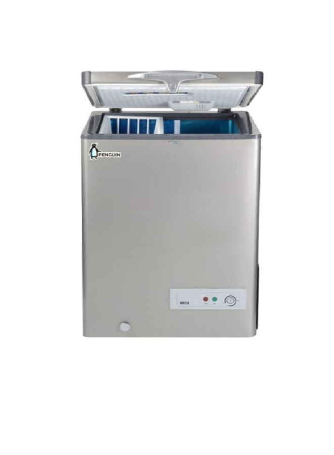 Penguin - Chest Freezer Stainless interior 171 L 81 W ES171L Silver - Image 1